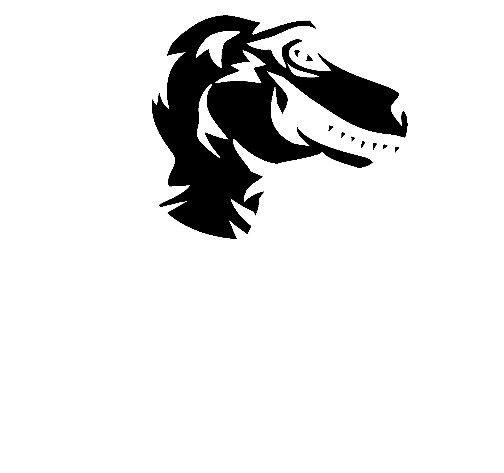 The Mozilla Foundation