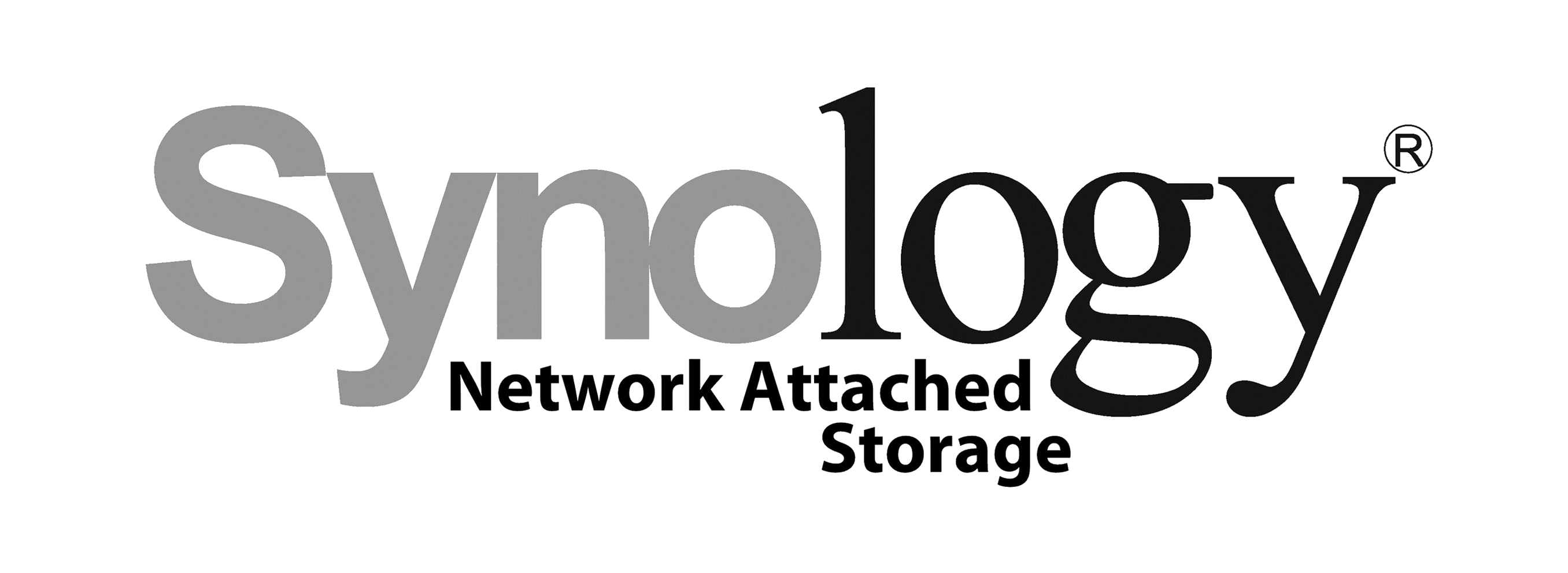 Synology Partners